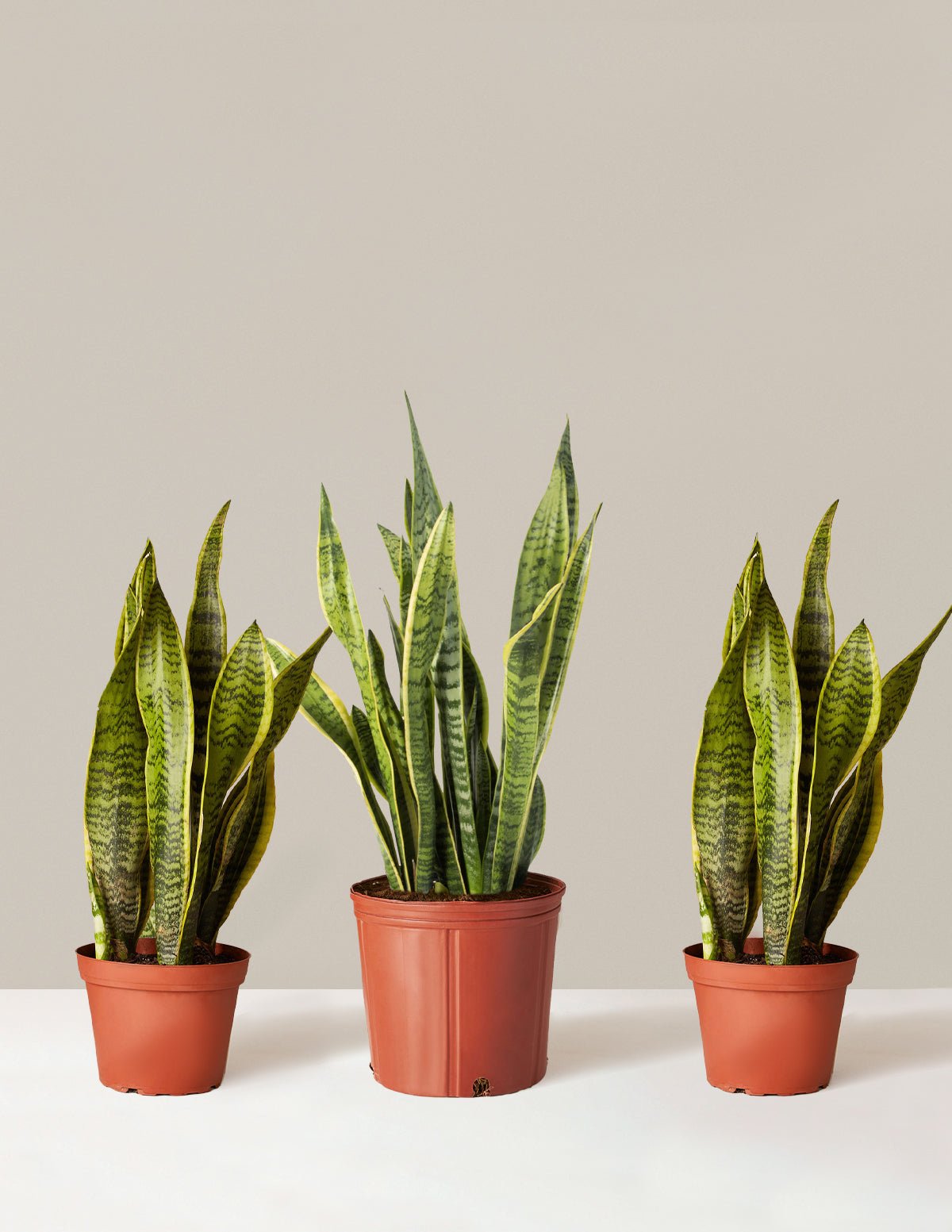 Air Purifying Trio Hover