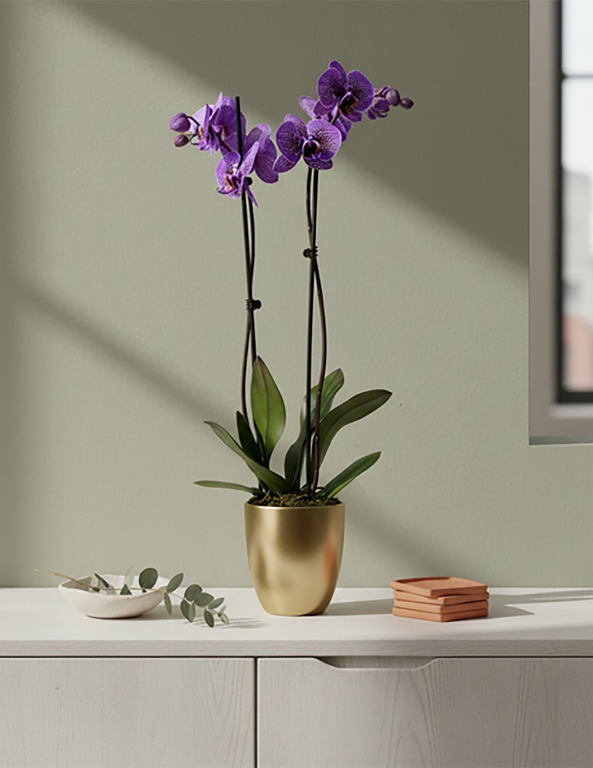 Amethyst Dream Kaleidoscope Orchid Hover