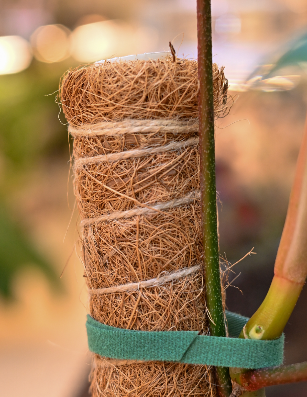 Coco Coir Pole Hover
