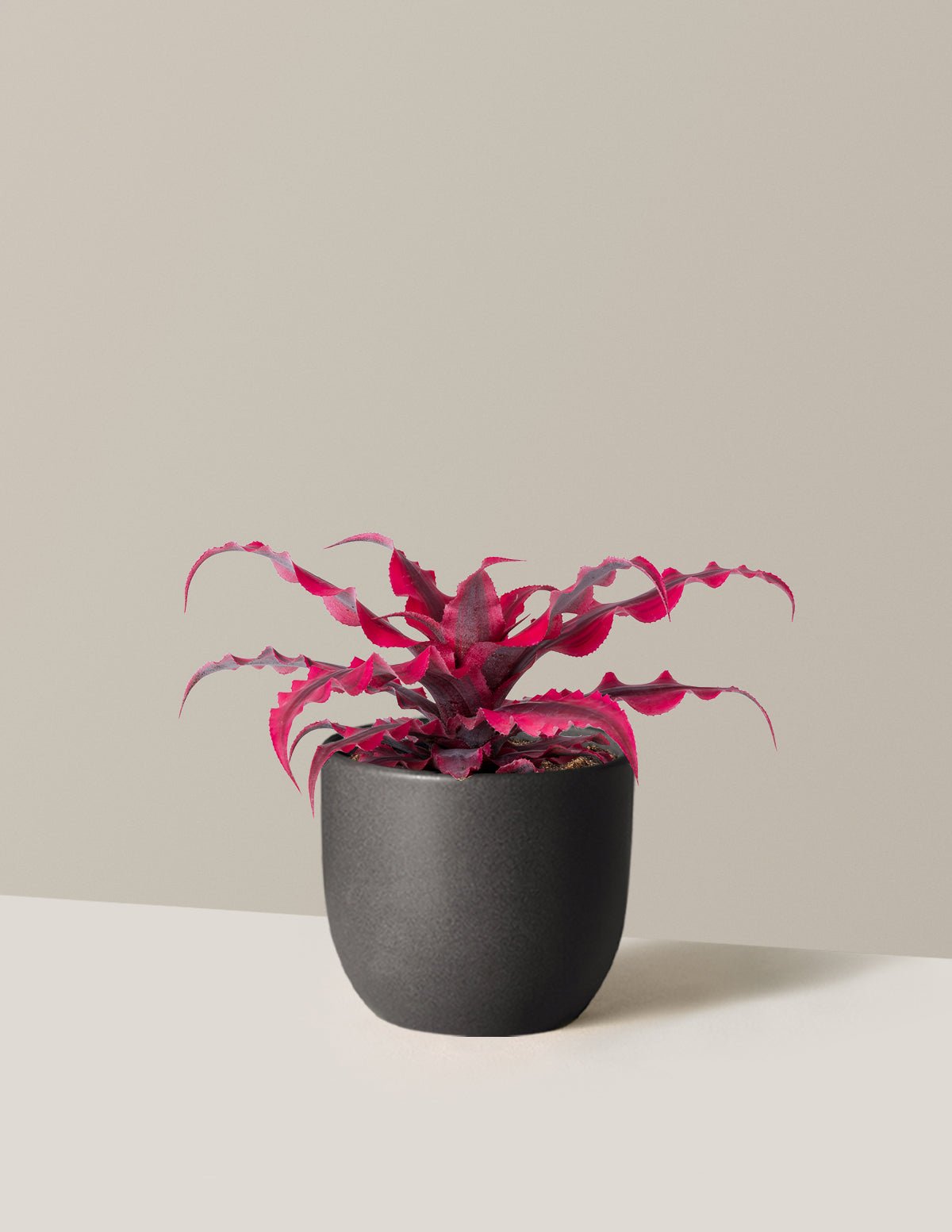 Hover Image