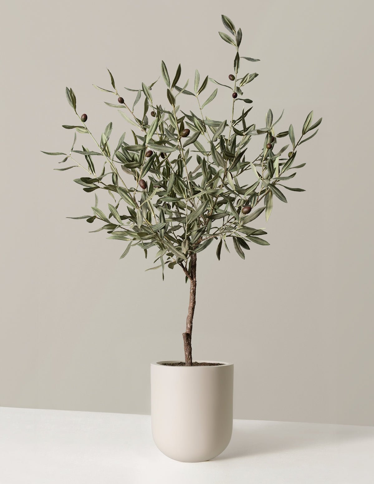 Artificial Olive Tree Hover