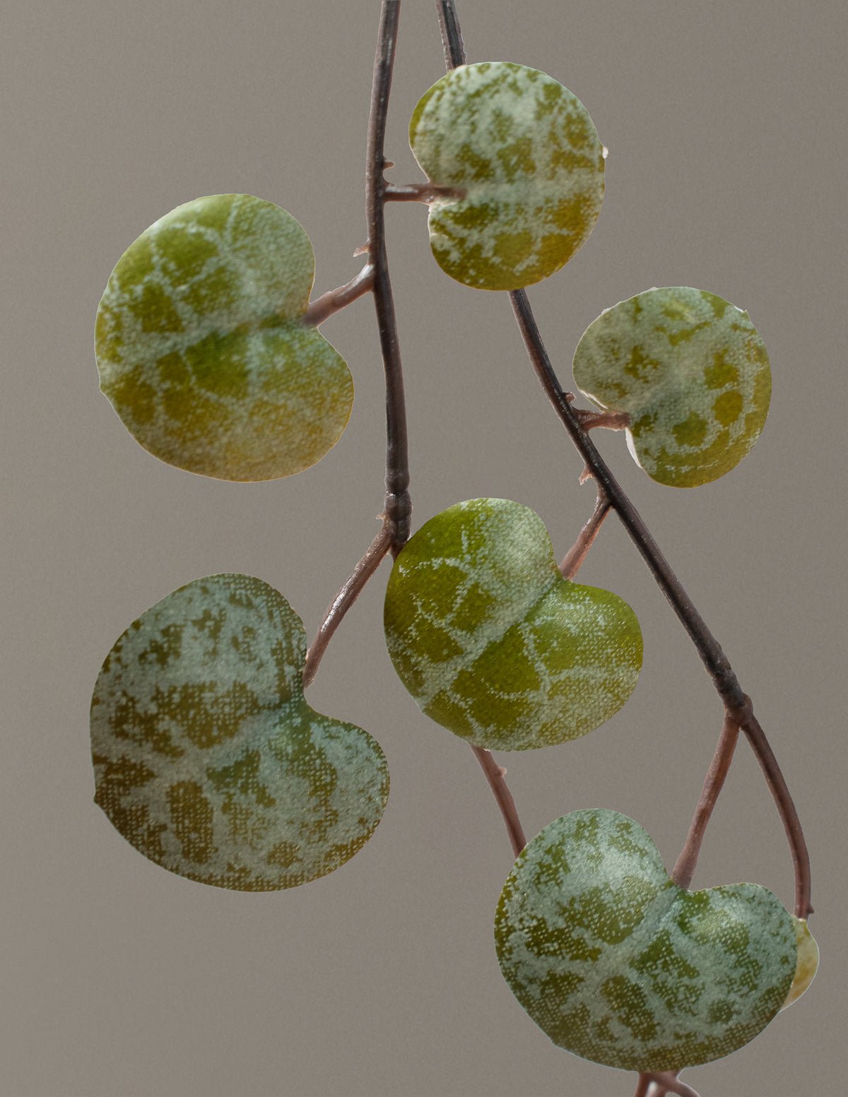 Artificial String of Hearts Hover