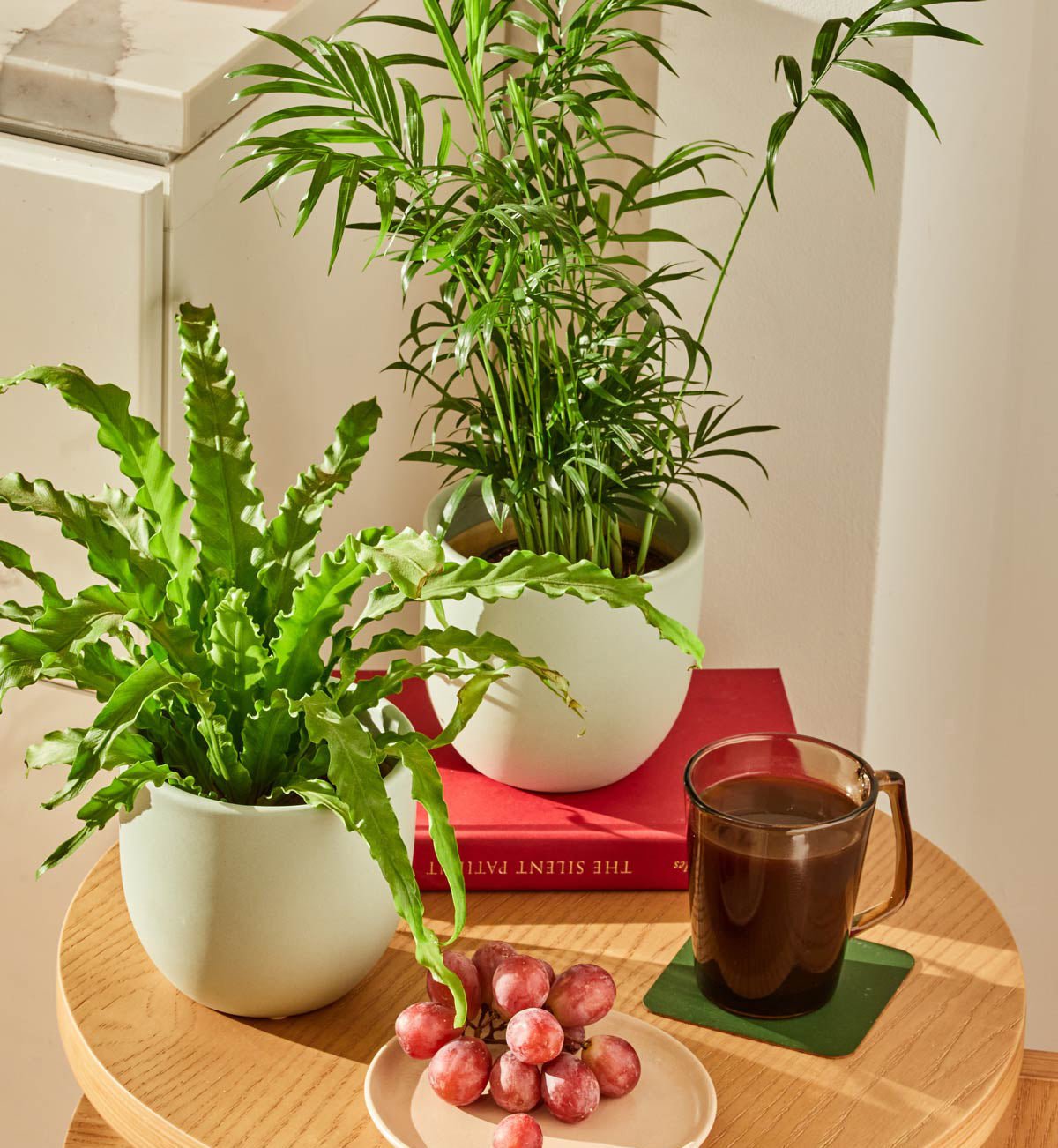 Gallery Image 2