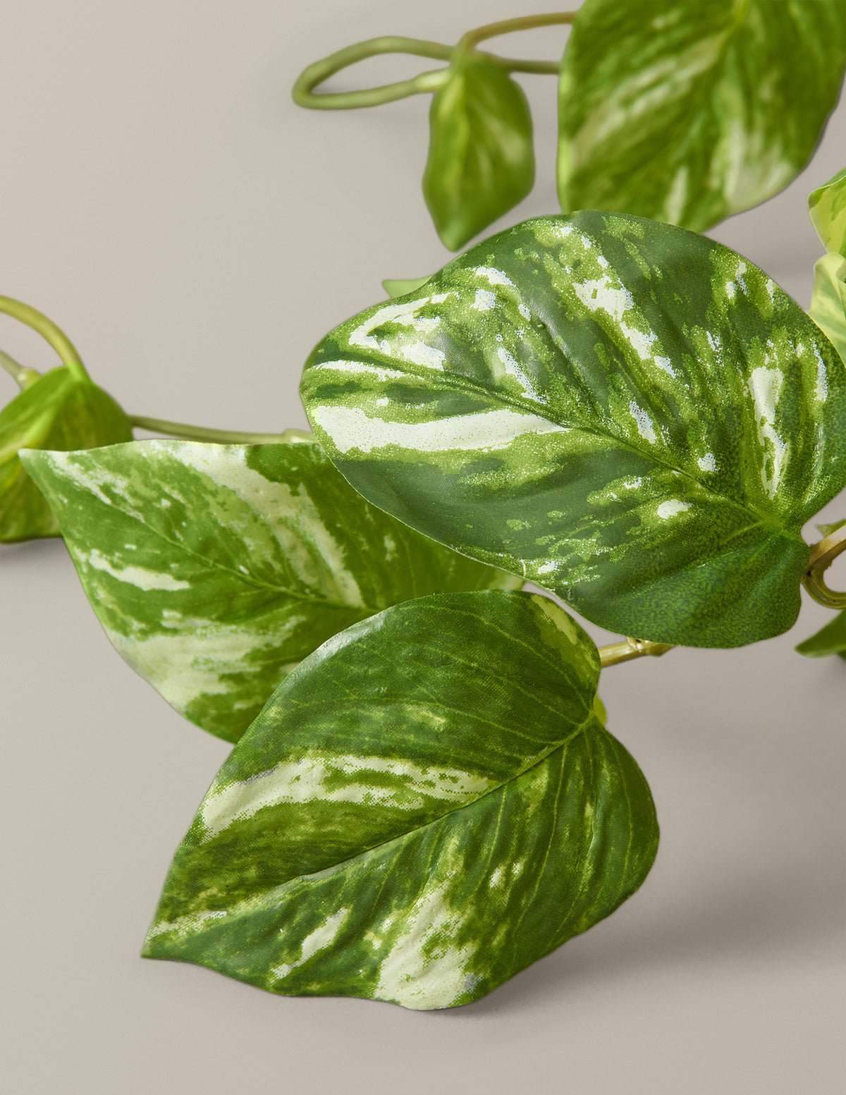 Artificial Pothos Plant Hover
