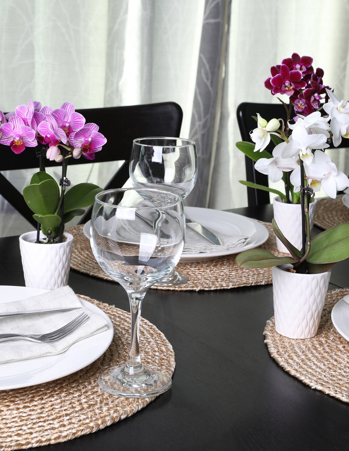 Mini Orchid Party Pack, 12 Hover