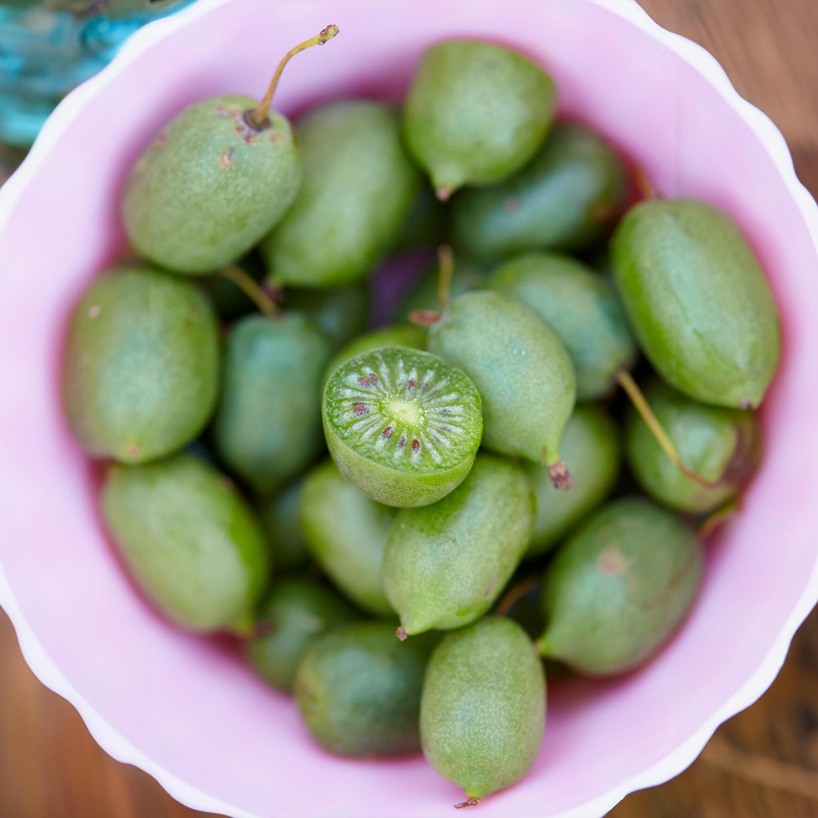 Kiwi - Prolific (Self Fertile) Hover