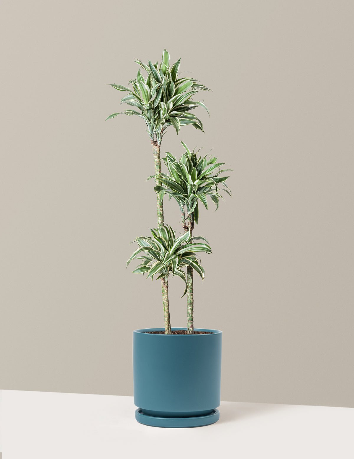 Hover Image