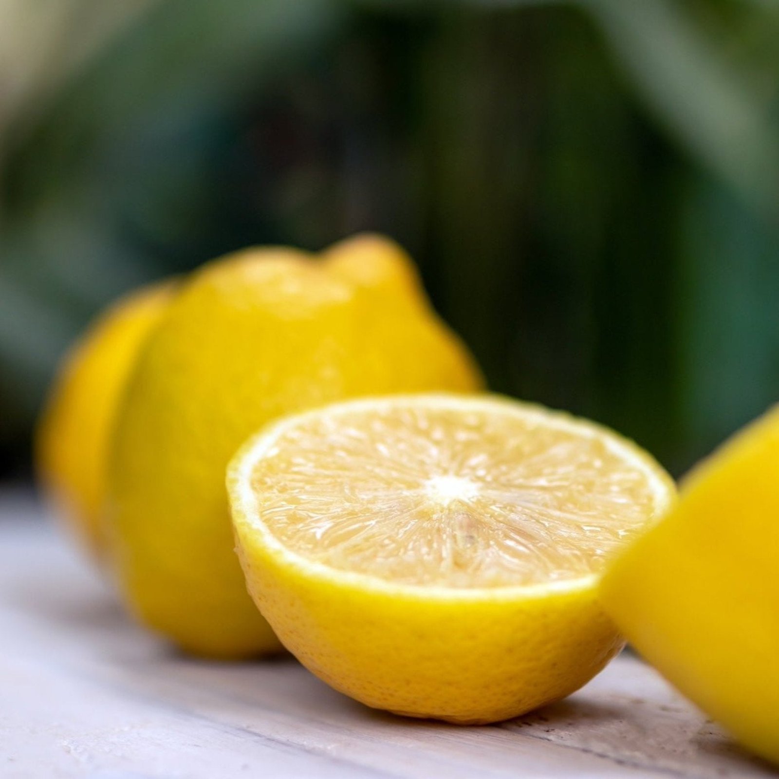 Lisbon Lemon Tree Hover