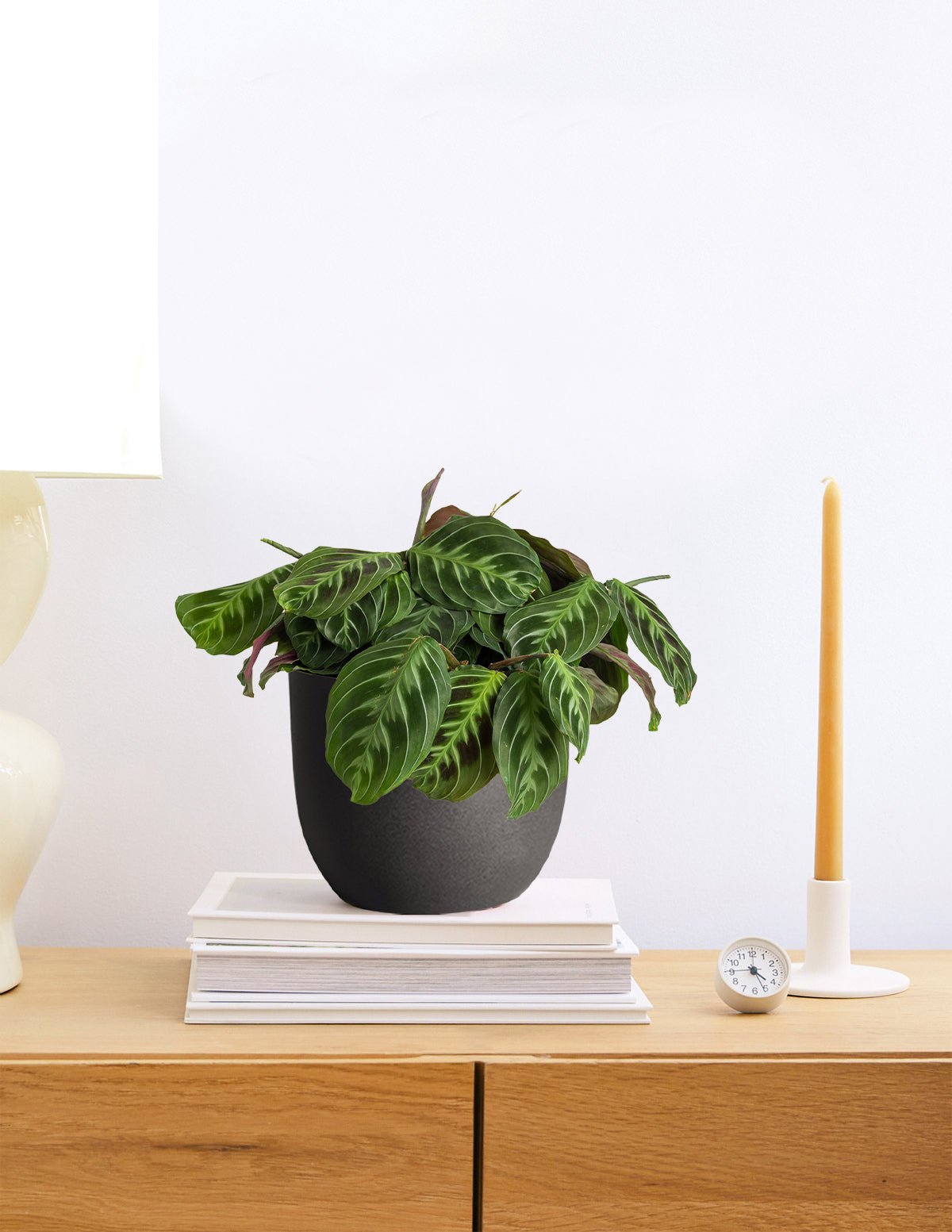Medium Grant Ceramic Planter Duo Hover