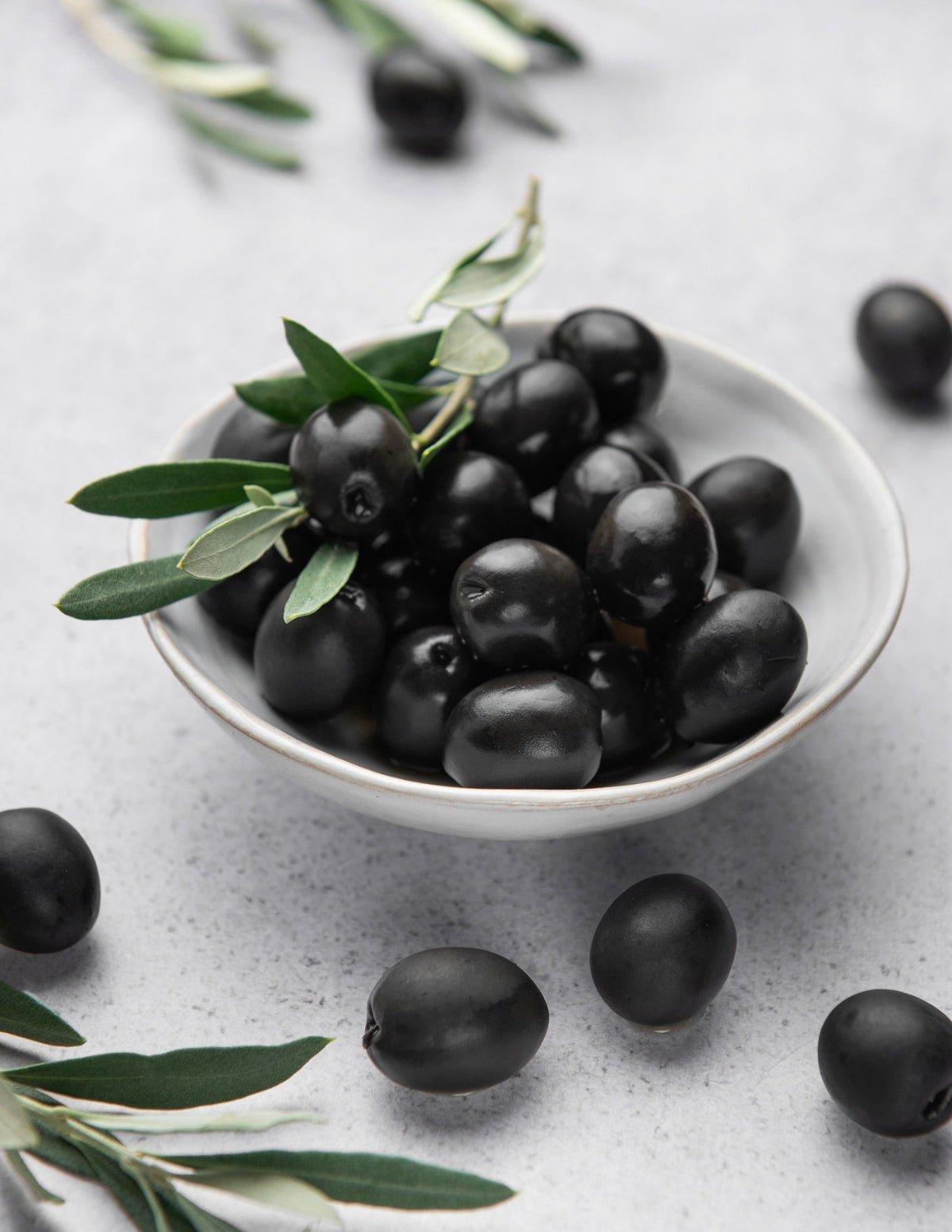 Mission Olive Tree Hover