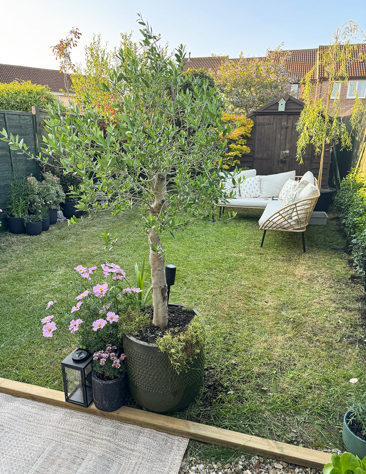 Gallery Image 13