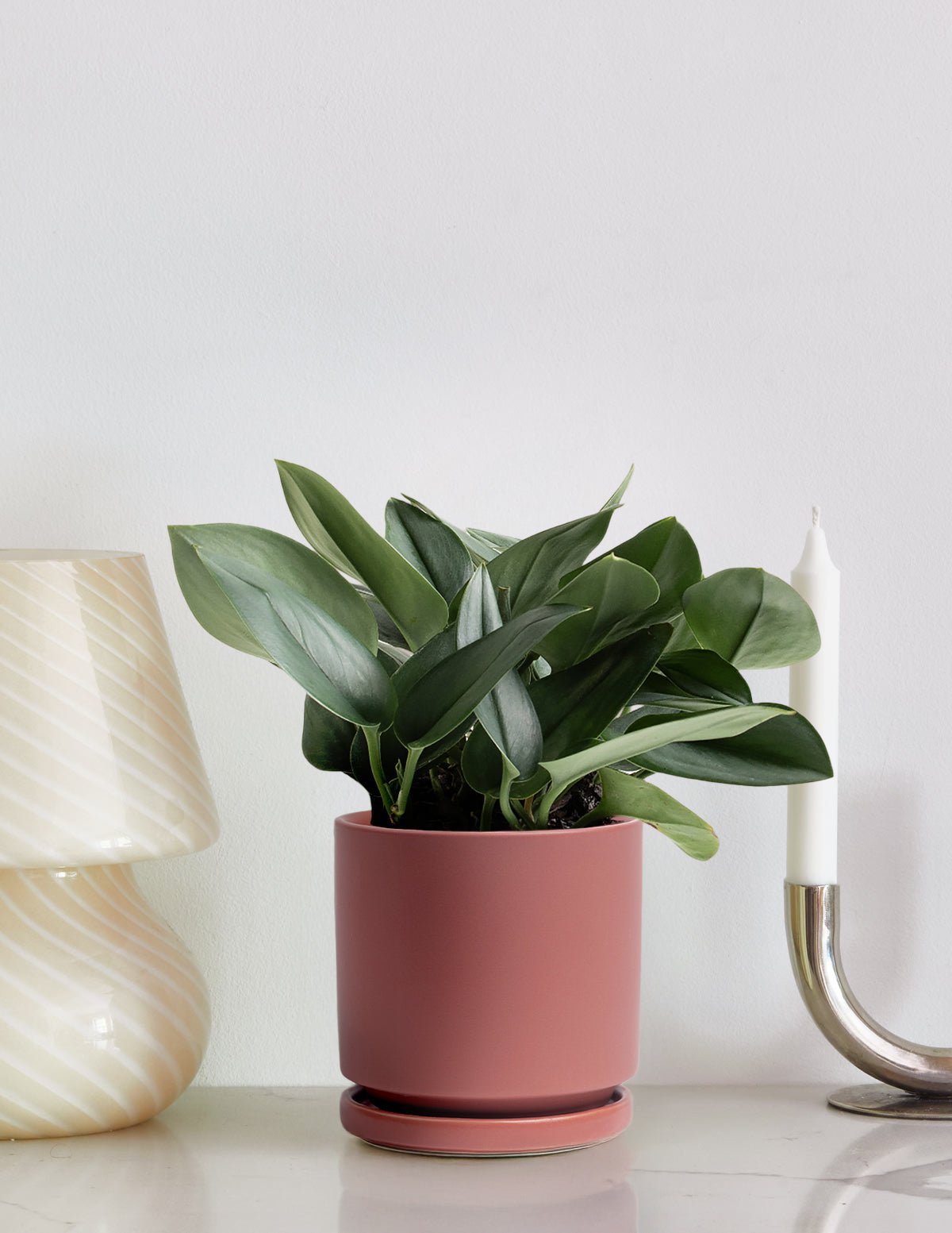 Pothos Sterling Silver Hover