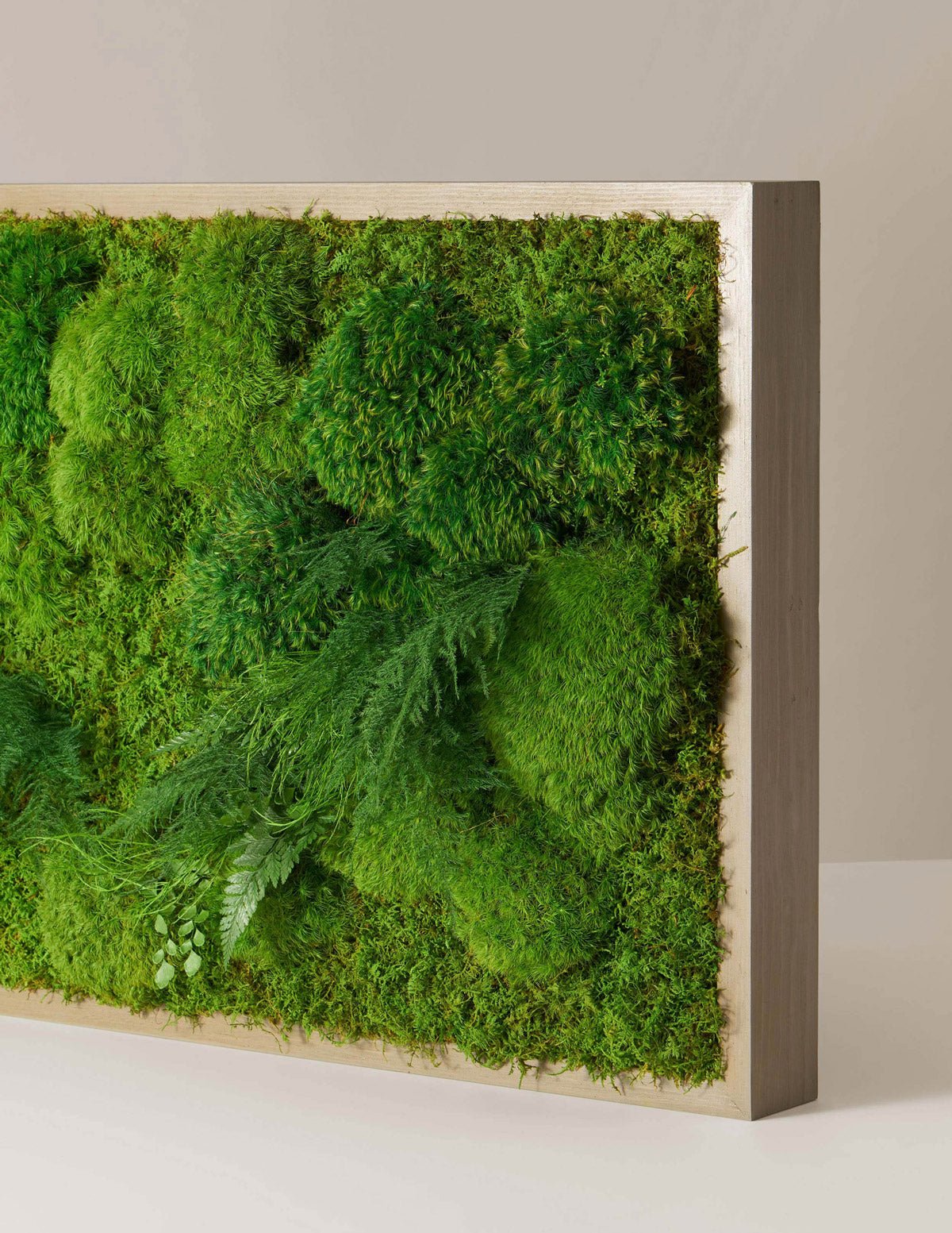 Medium Preserved Living Wall Hover