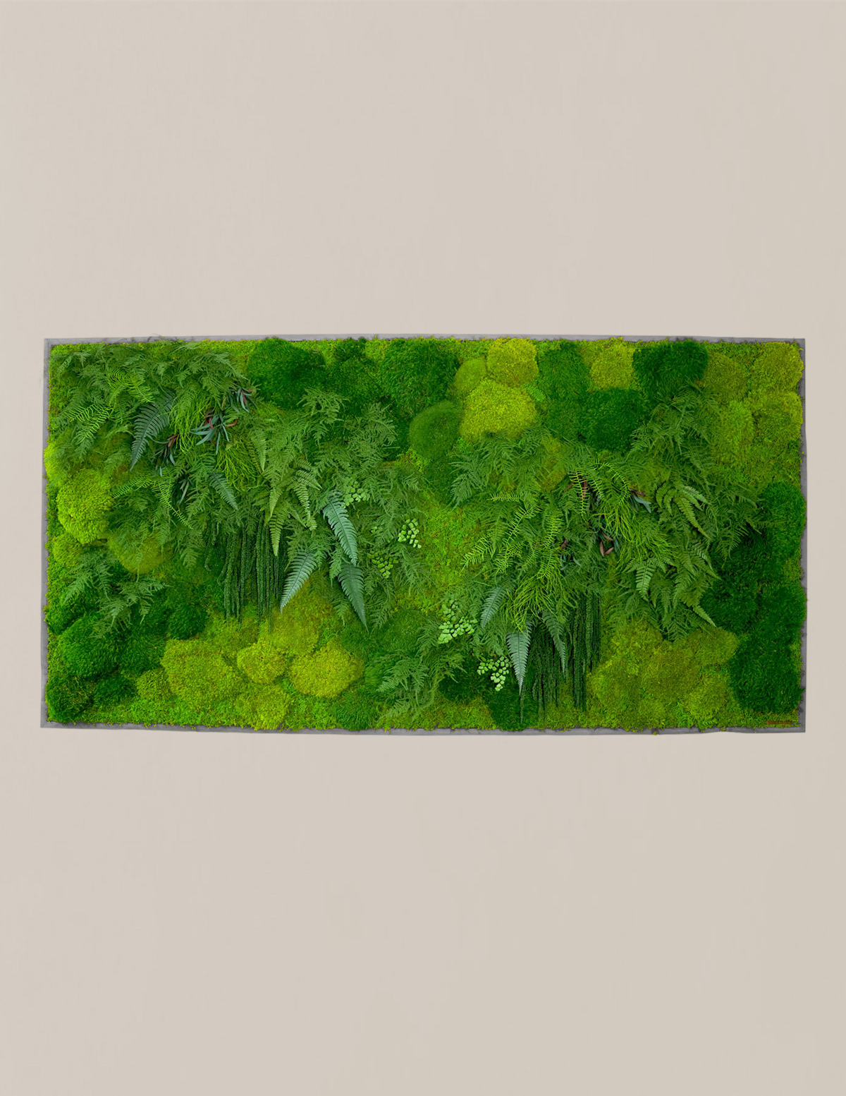 Large Preserved Living Wall Hover