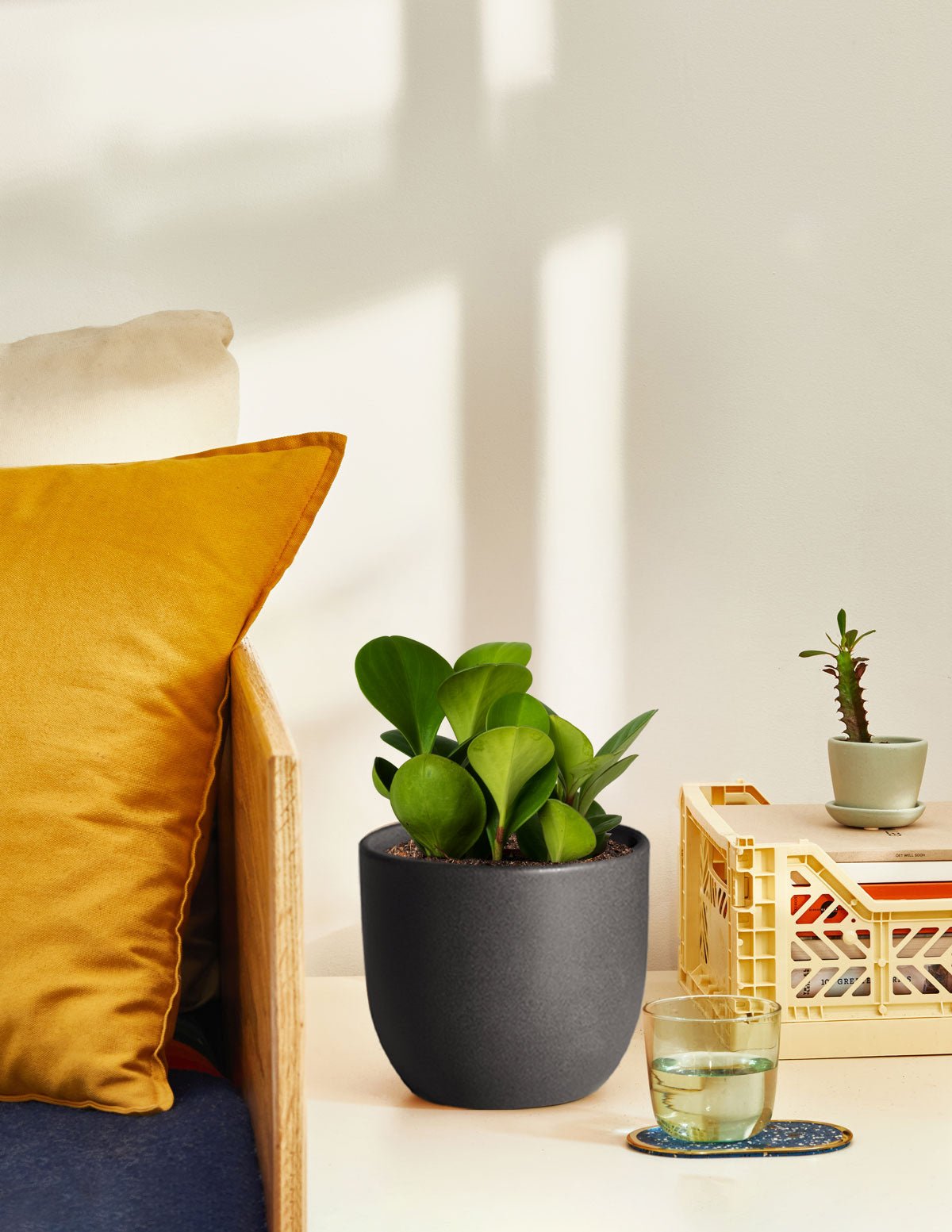 Small Grant Ceramic Planter Duo Hover