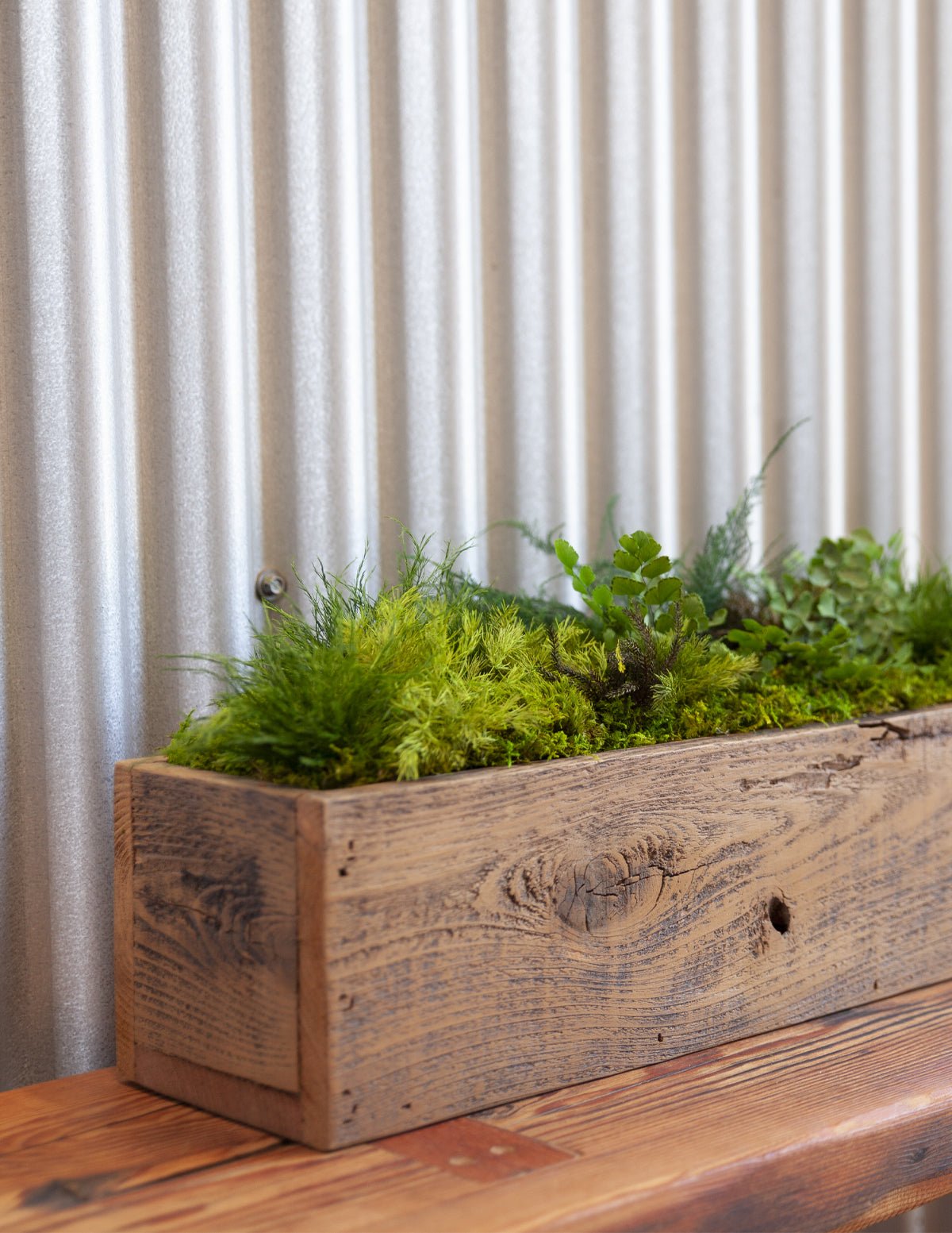 Preserved Moss & Fern Box Hover