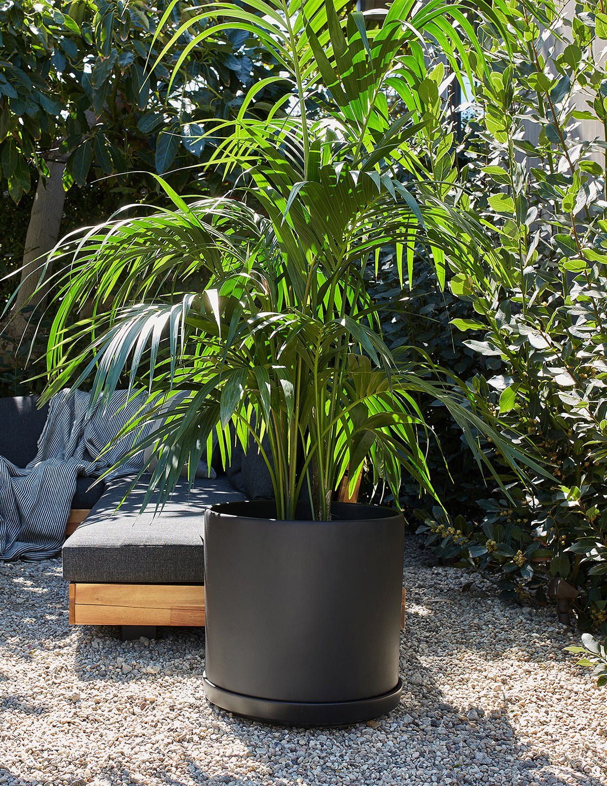 Solid Goods Planter with Saucer Hover