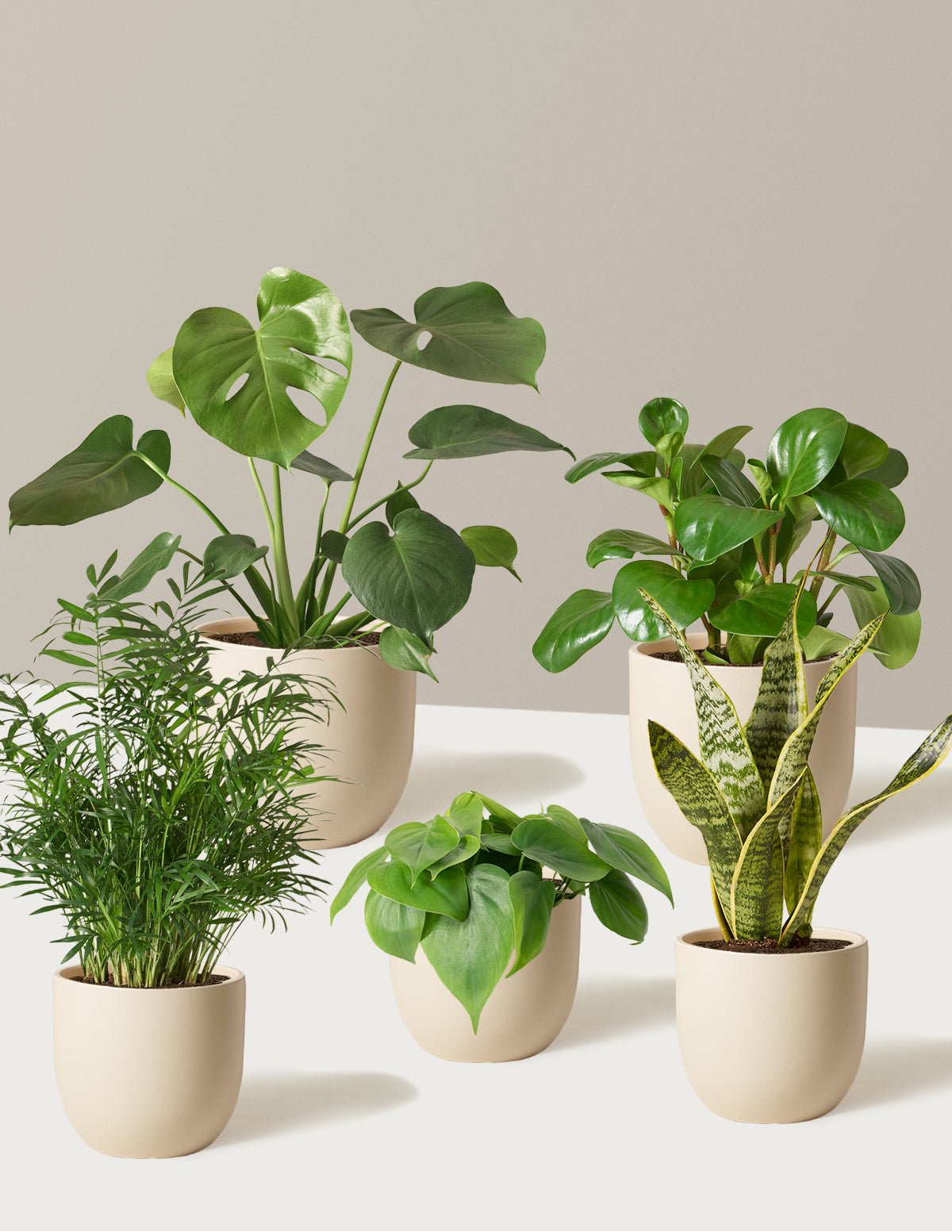 The Favorite 5 Bundle Hover