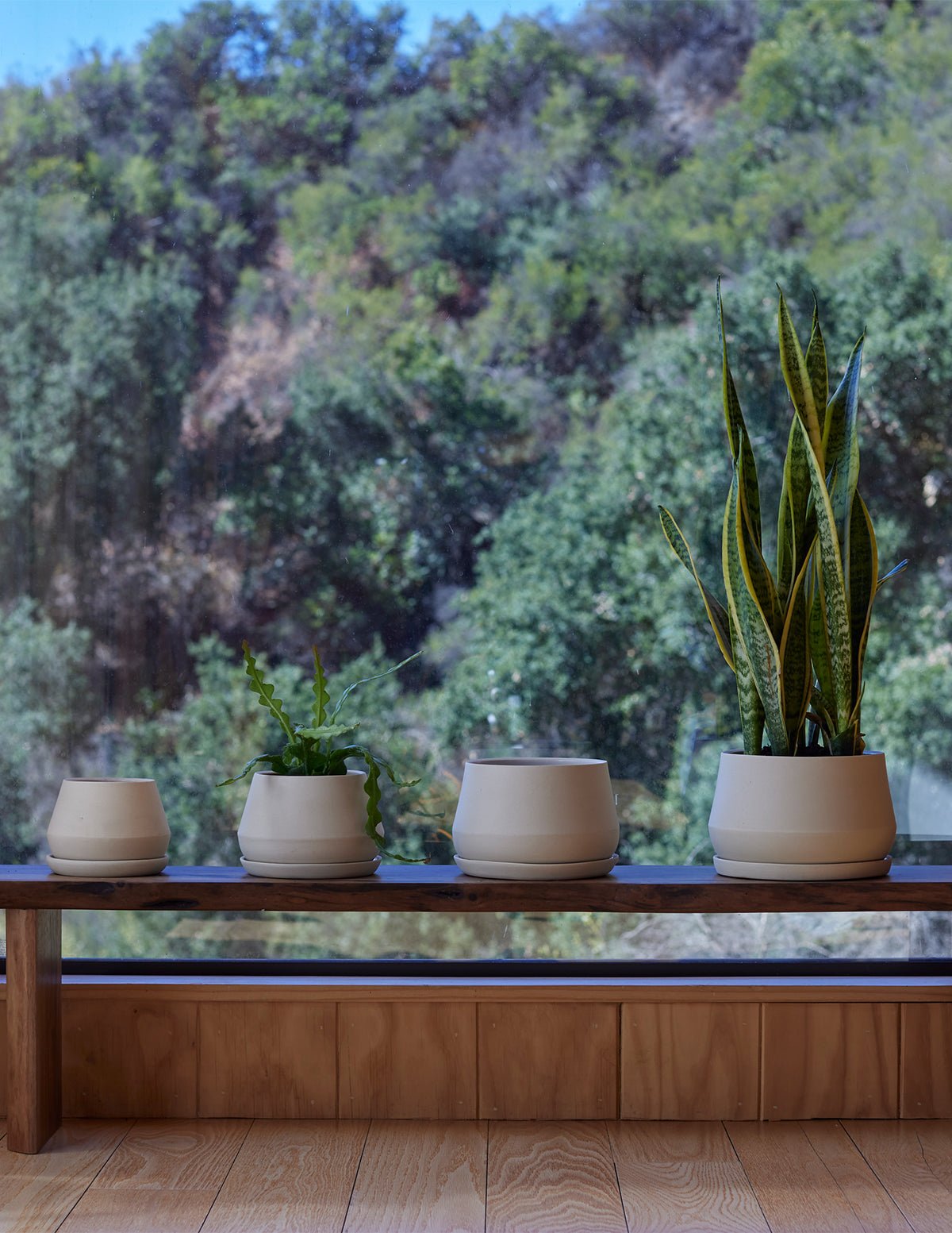 The Rancho Planter Hover