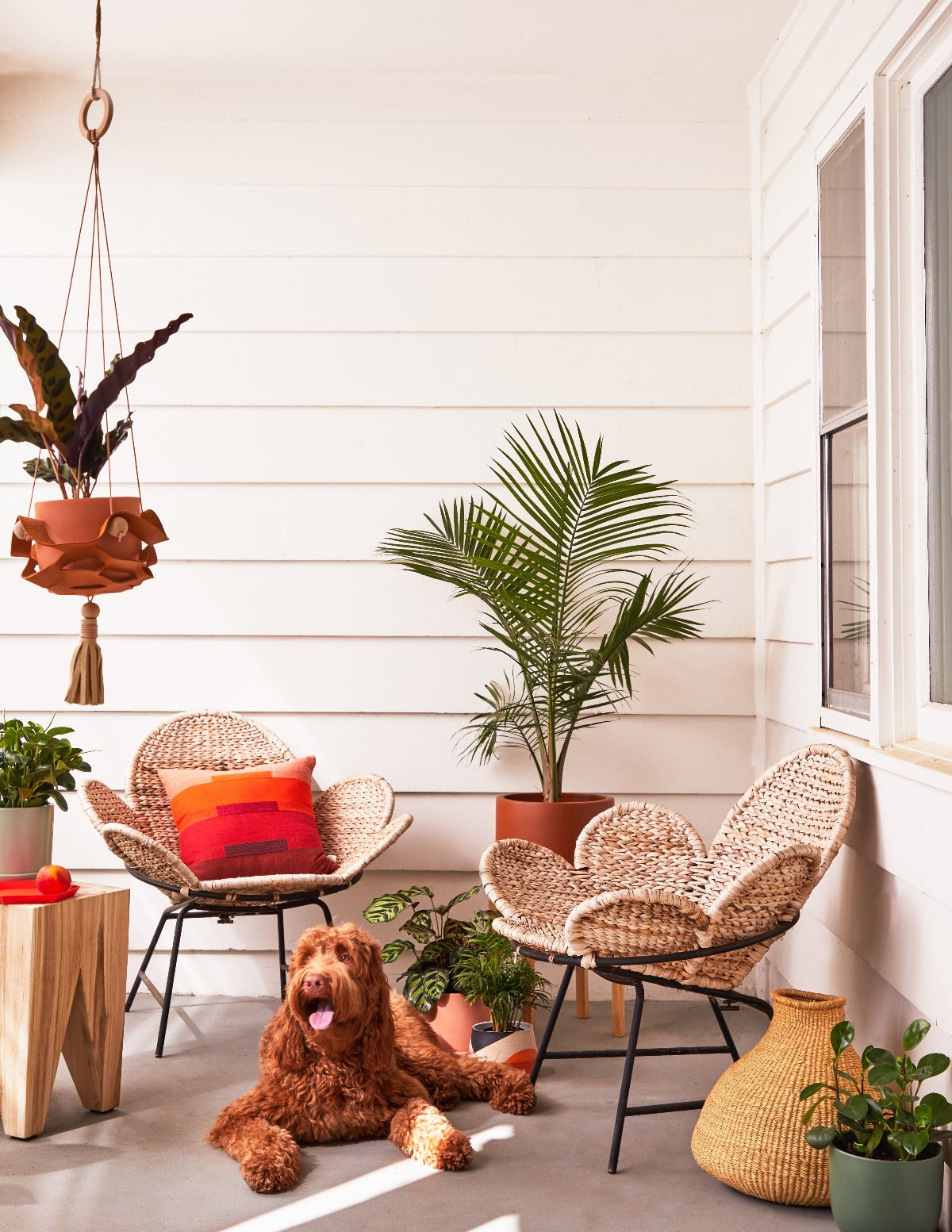 Virtual Plant Appointment Hover