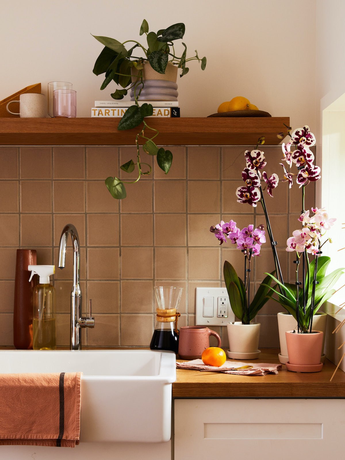 Classic Orchid Party Pack