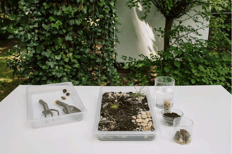 Terrarium Building Masterclass
