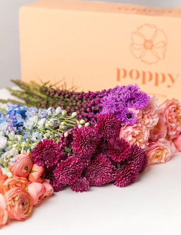 Tips for Long-Lasting Floral Arrangements