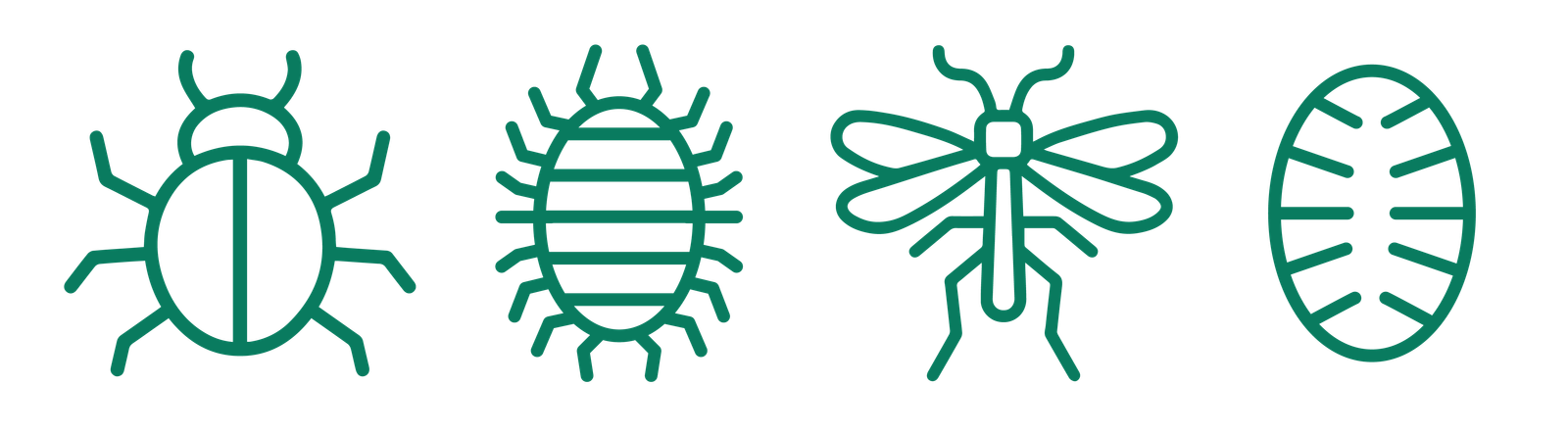 Bug Off: All About Scale