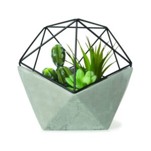 Odio tortor consequat